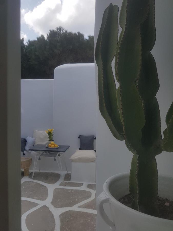Cassaris Mykonos Villa Drafaki Luaran gambar