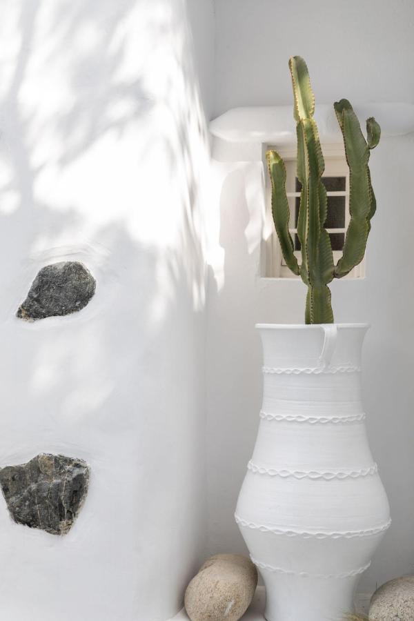 Cassaris Mykonos Villa Drafaki Luaran gambar
