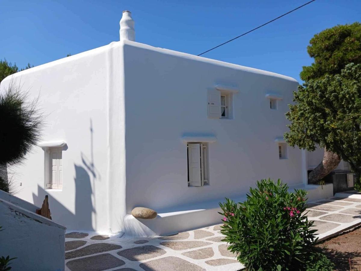 Cassaris Mykonos Villa Drafaki Luaran gambar
